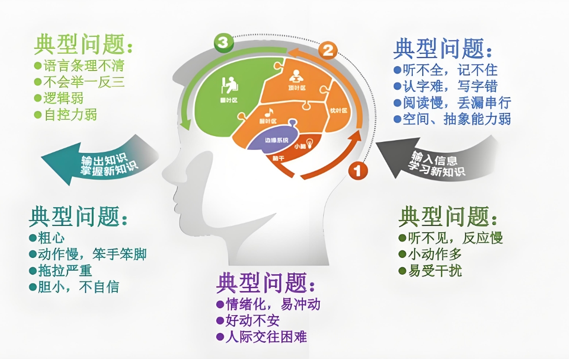 问题儿童教育机构,特殊教育学校,儿童多动症,孩子专注力差
