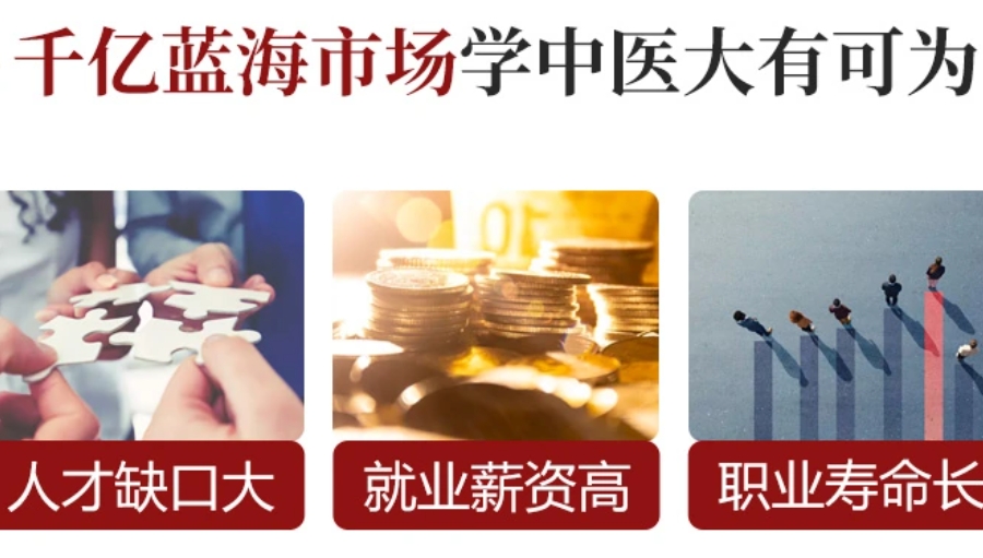 中医(专长)医师