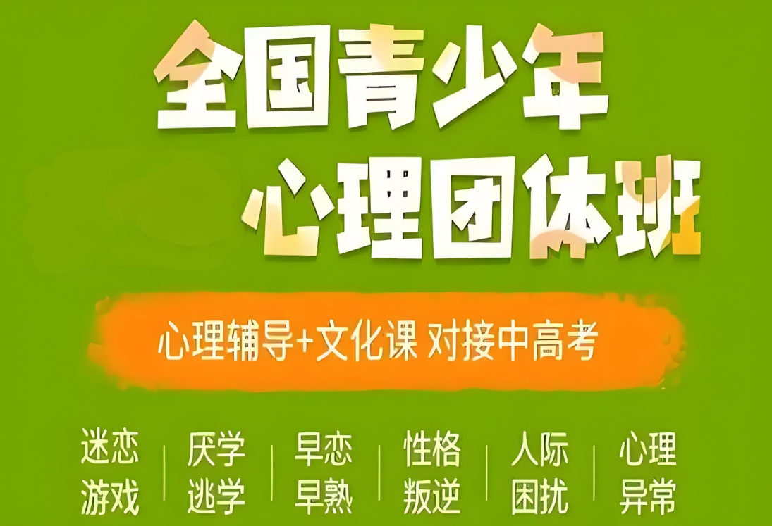 男孩青春期叛逆心理教育,叛逆青少年心理辅导,孩子叛逆心理教育,14岁叛逆心理疏导方法
