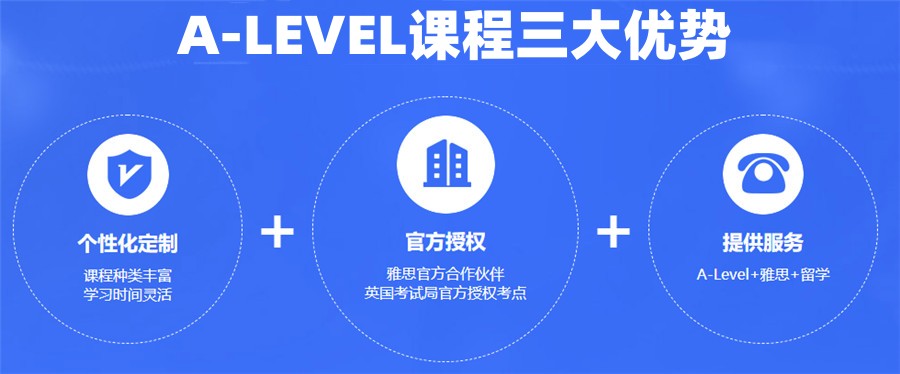 总结2025十大Alevel课程补习辅导学校人气口碑排行一览