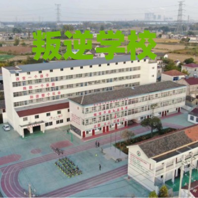 青少年叛逆戒网瘾