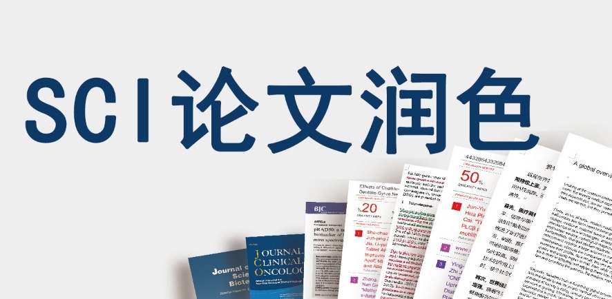 期刊论文润色发表指导机构，十大论文润色指导机构，论文指导机构