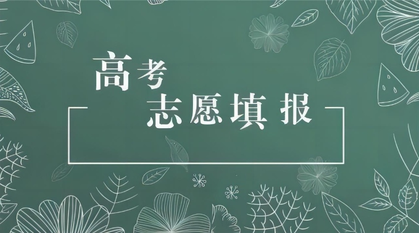 山东高考志愿填报机构,高考志愿填报 山东高考志愿填报机构,高考志愿填报