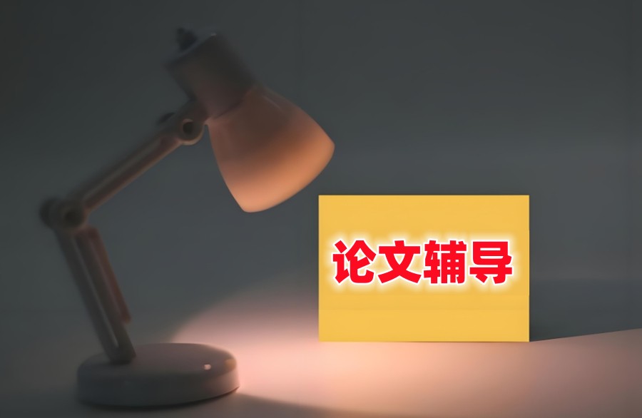 论文辅导