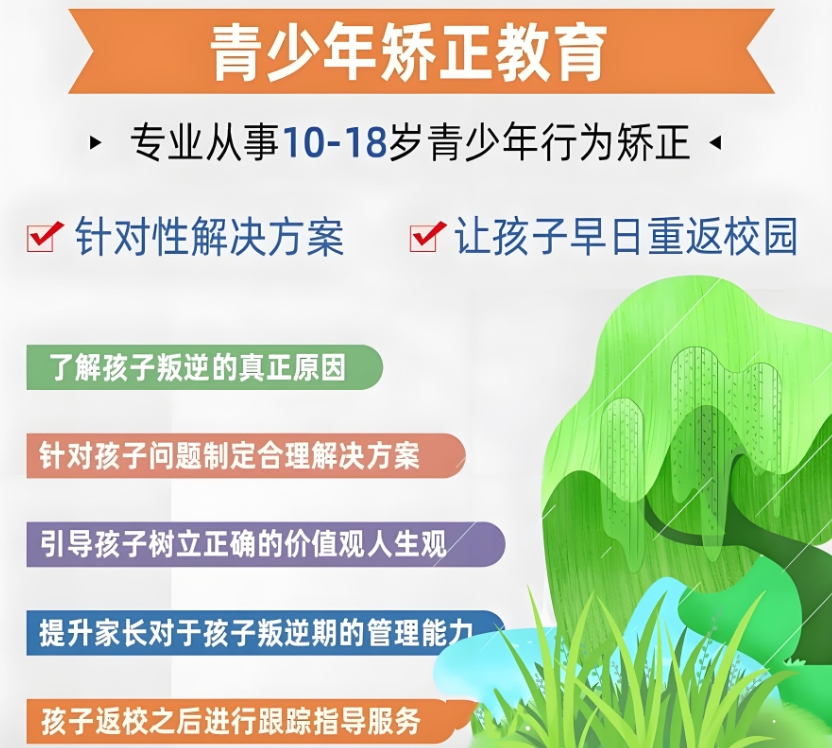 戒网瘾学校,叛逆青少年学校,青少年叛逆封闭式学校,管教叛逆孩子