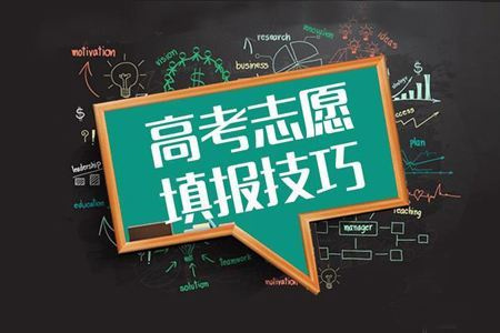 高考志愿填报指导机构