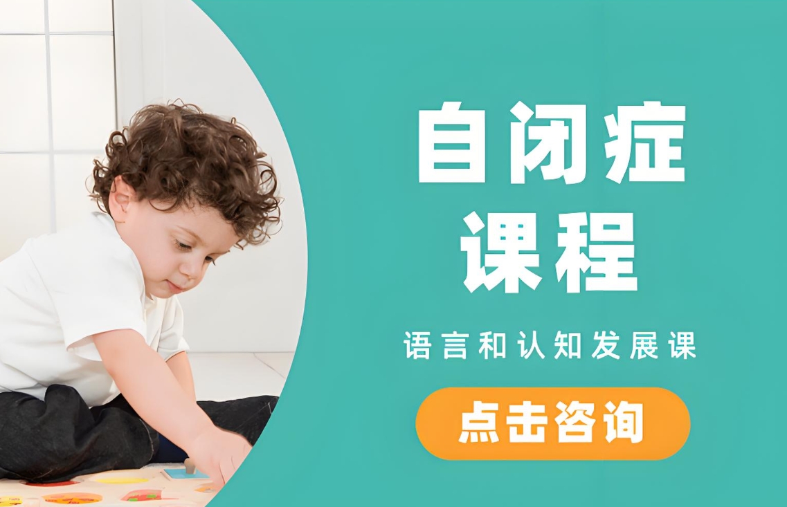 自闭症儿童,孤独症患者,特殊儿童康复机构,问题儿童治疗方法 自闭症儿童,孤独症患者,特殊儿童康复机构,问题儿童治疗方法