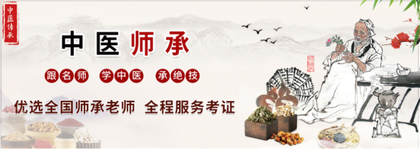 中医师承拜师考证培训机构