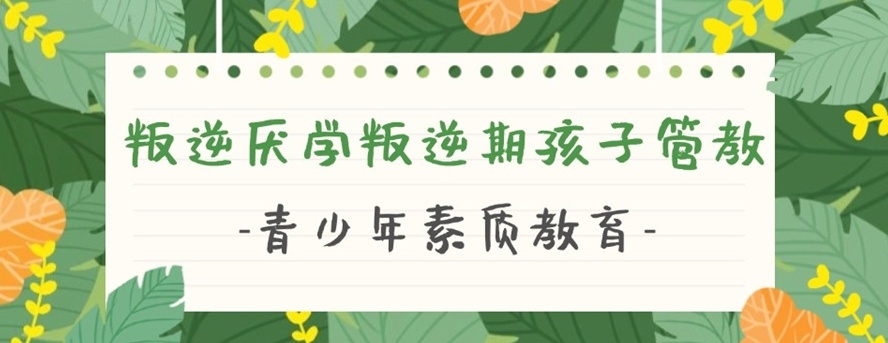 重庆戒网瘾特训学校，戒网瘾学校排名