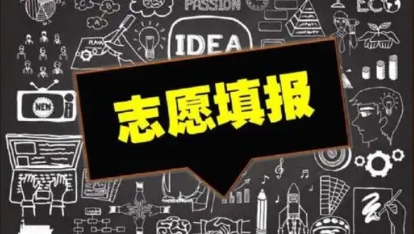高考志愿填报规划机构，高考志愿填报机构