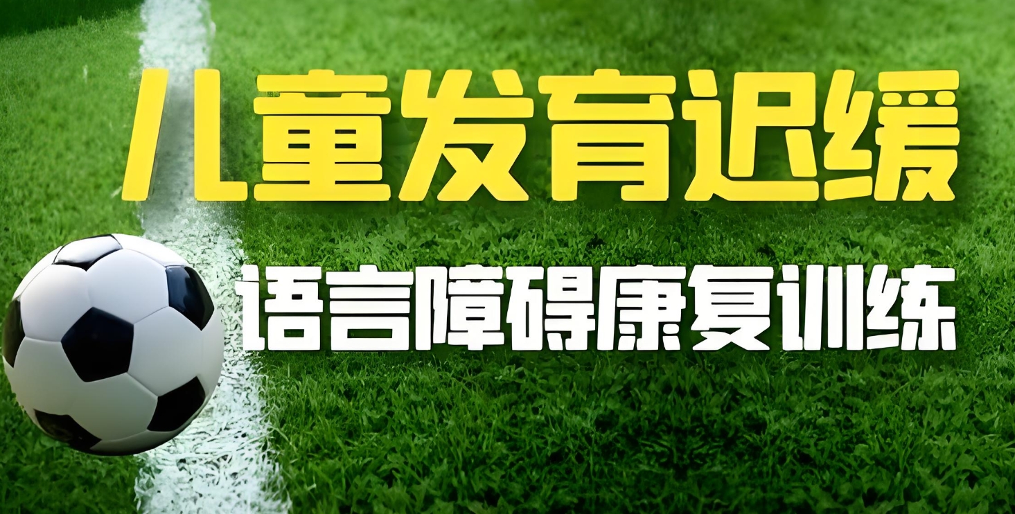 儿童语言障碍,语言问题康复治疗,孩子说话迟,语言发育黄金时期 儿童语言障碍,语言问题康复治疗,孩子说话迟,语言发育黄金时期
