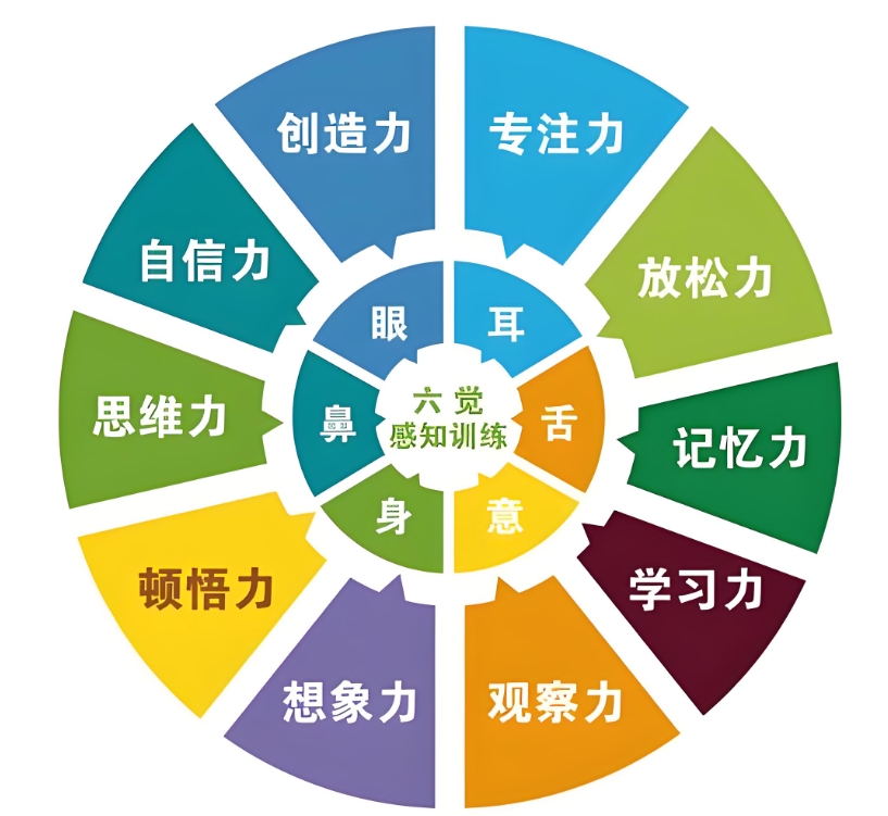 儿童感统训练，感统失调孩子，前庭觉问题，黑龙江儿童医院