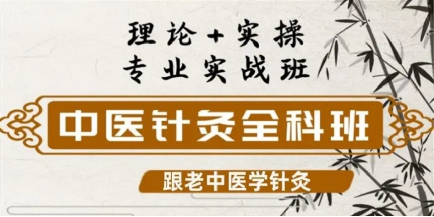 中医针灸技能培训机构
