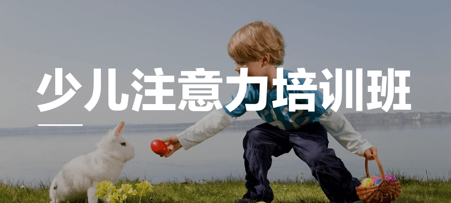 云南本地效果好的十大专注力提升机构排名