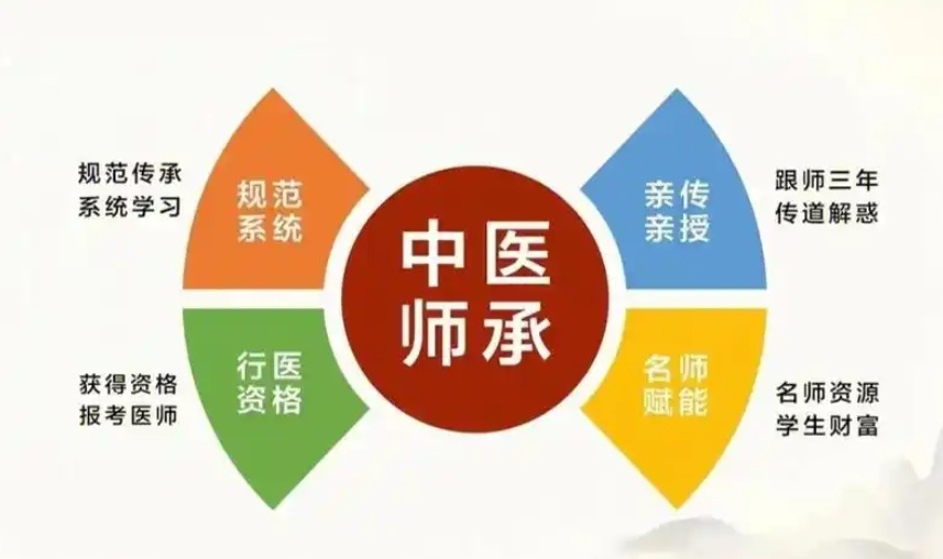 中医师承培训机构，中医师承培训课程，中医培训机构