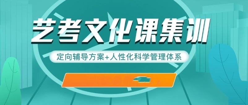 艺术生文化课辅导,高中文化课辅导 艺术生文化课辅导,高中文化课辅导