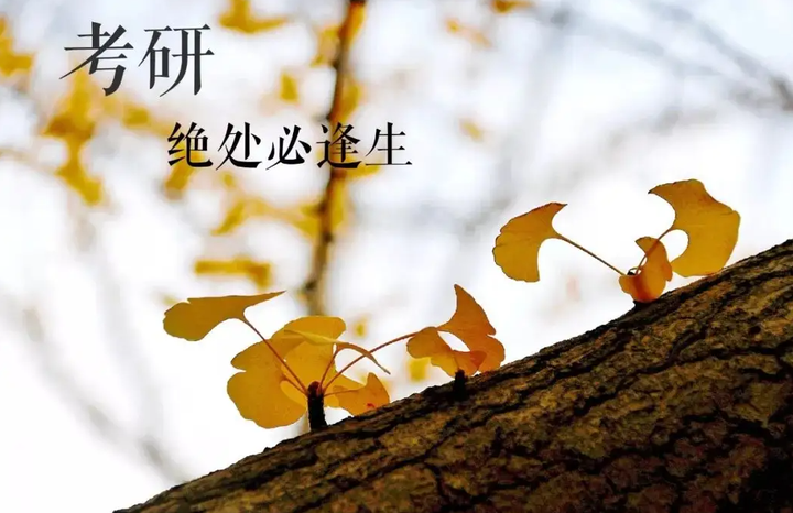 上海地区26考研集训辅导机构前十排行榜推荐