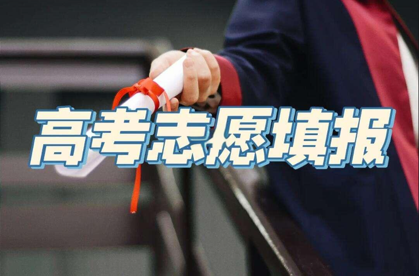 高考志愿填报指导机构，强基计划，志愿填报模拟，高考志愿分析