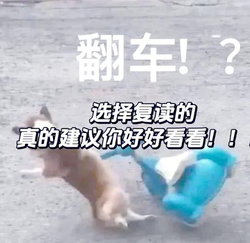 没搞清这些问题之前，千万不要复读！