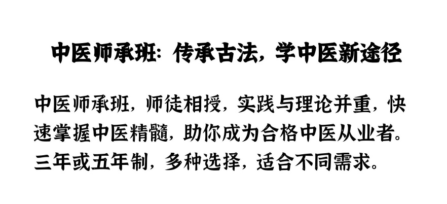 中医辨证论治，中医师承跟师心得