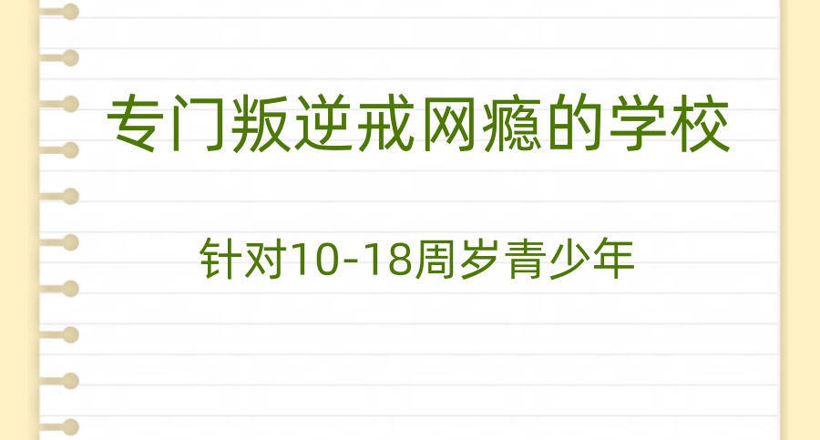 正苗启德青少年特训学校是正规学校吗