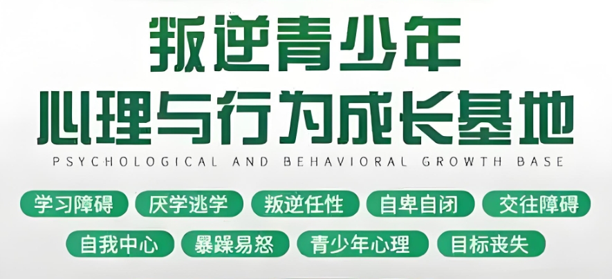 浙江叛逆学校