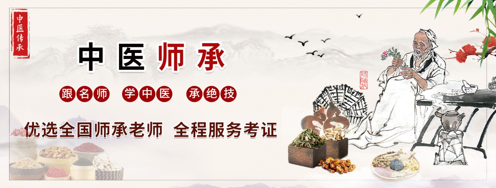 中医师承培训