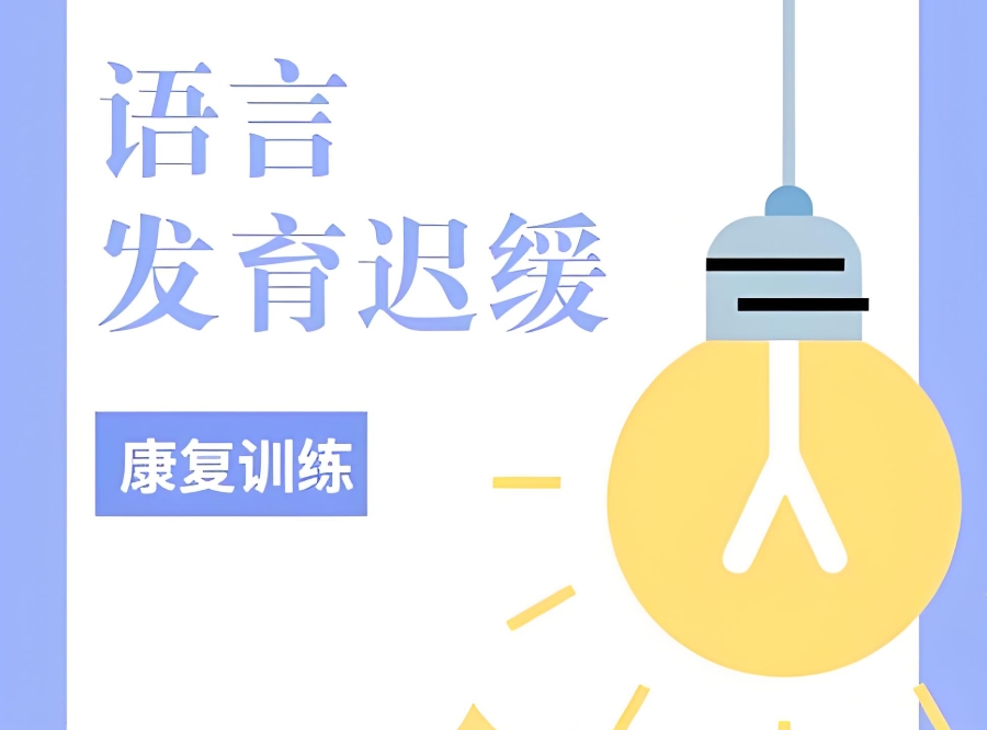 苏州语言发育迟缓康复训练机构