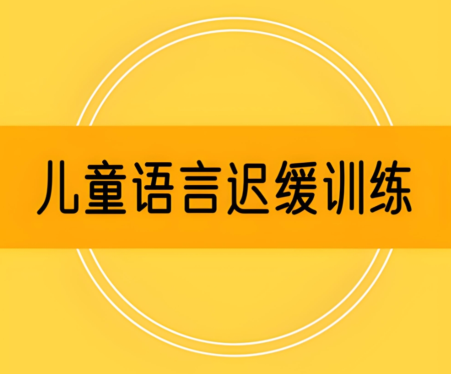 苏州语言发育迟缓康复训练机构