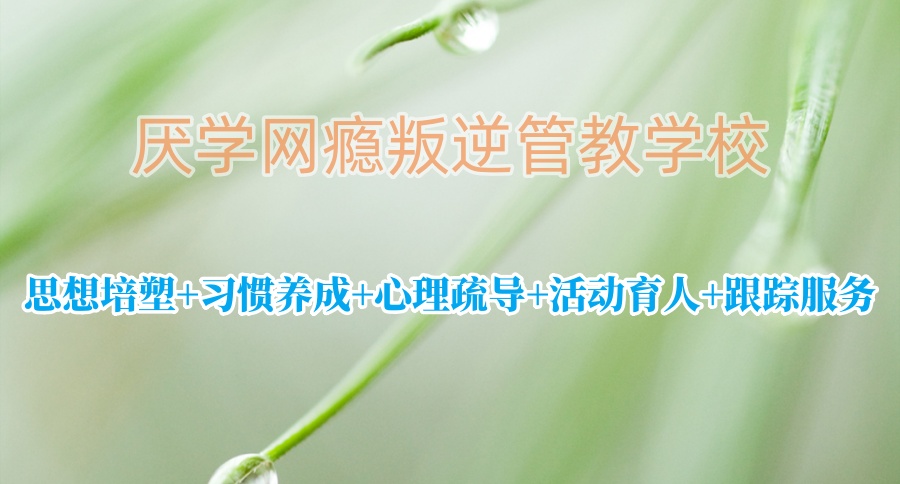 封闭式叛逆管教学校 封闭式叛逆管教学校