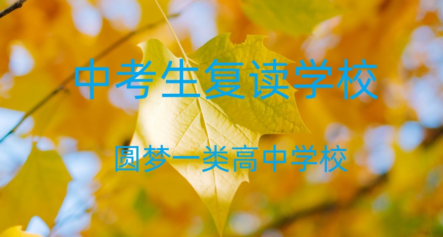 深圳复读初中学校