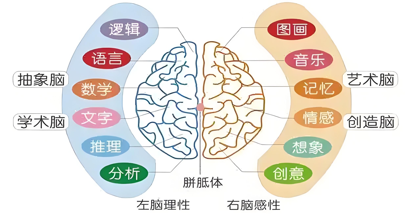 儿童感统失调，感统失调康复方法，问题儿童康复机构，天津特殊儿童康复中心