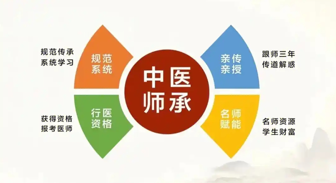 中医师承，中医技能培训机构，中医技能学习，中药炮制
