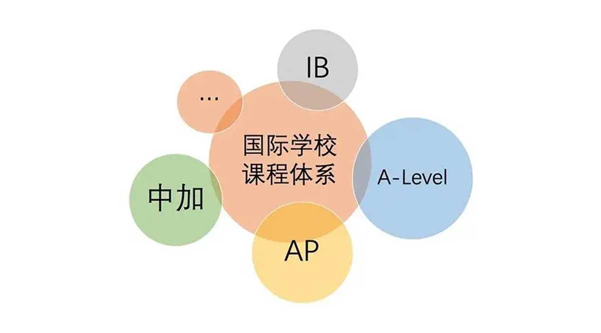 中考择校必看 | 国际课程班选择全攻略