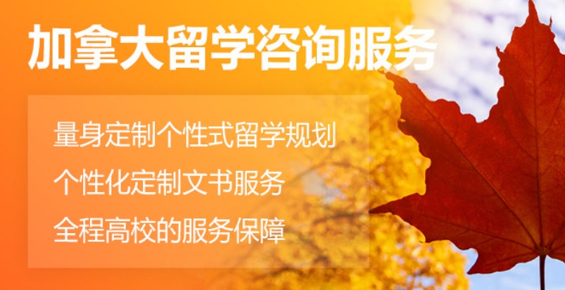出国留学指导机构，留学中介，留学规划，留学准备事宜