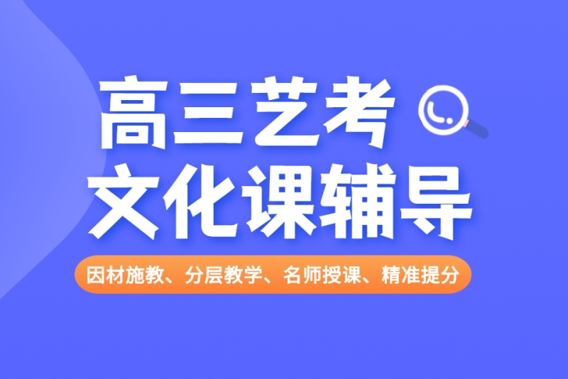 艺考文化课辅导机构