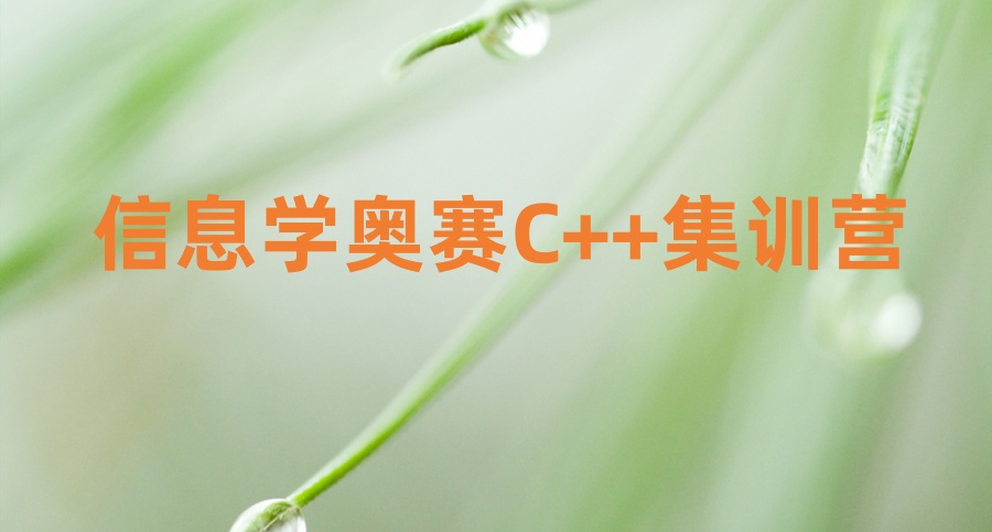 山东省信息学奥赛C++编程集训营面向全省招收学员！