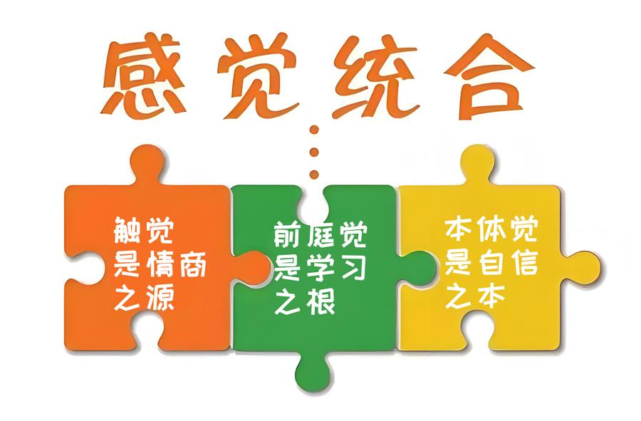 上海本地十大感觉统合训练机构排名