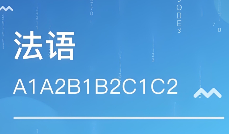 外语培训