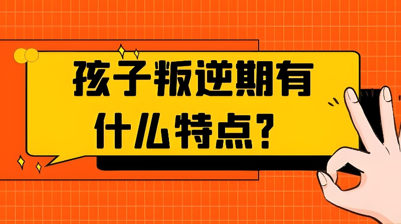 叛逆特训营