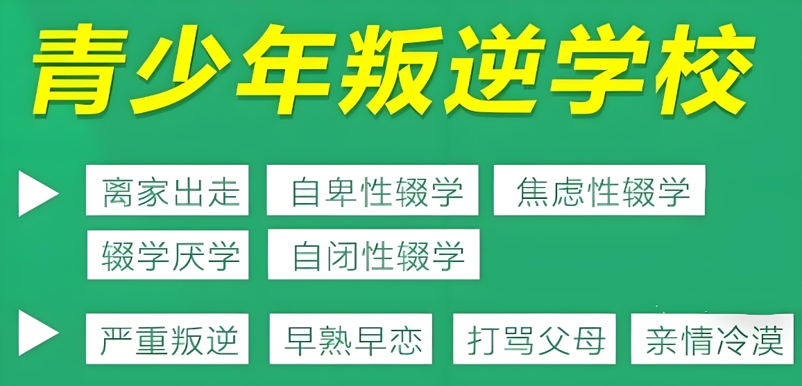 微信截图_20250419225129.jpg