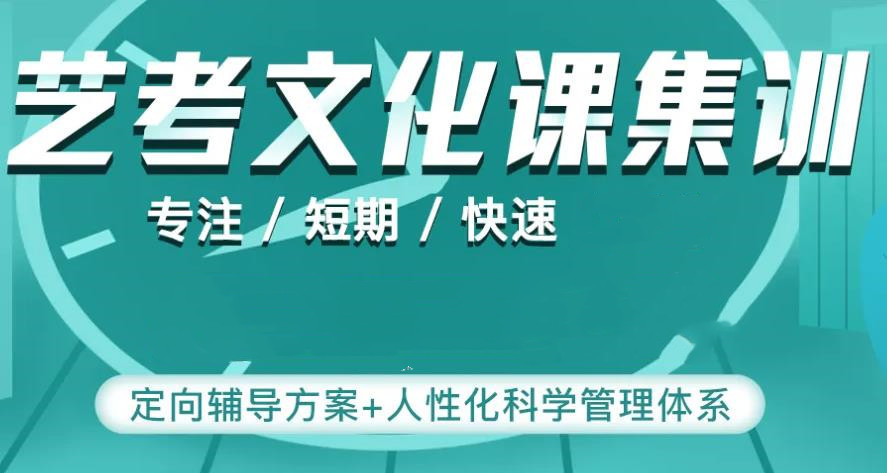 艺考生文化课培训学校