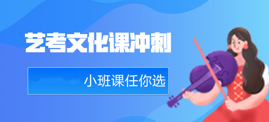 上海艺考文化课培训机构