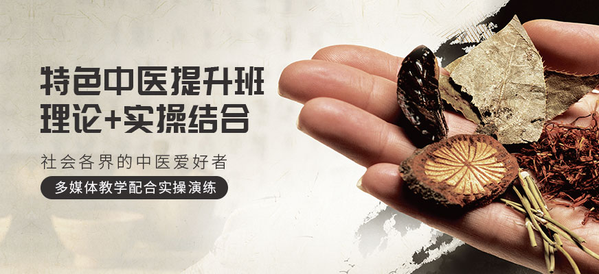 中药方剂系统班 中药方剂系统班