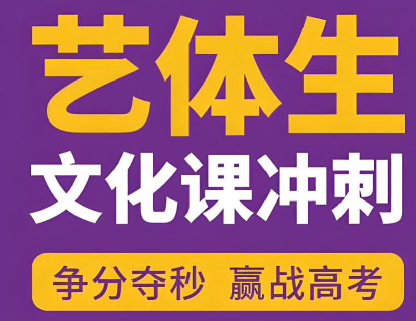 艺考文化课冲刺集训班