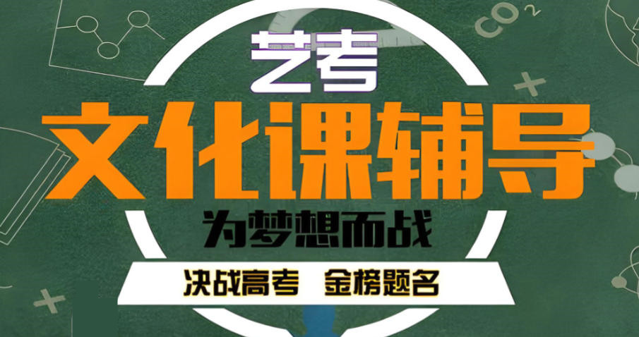天津艺考文化课集训