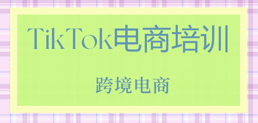 太火爆了！专注于TikTok电商培训的top10机构速览