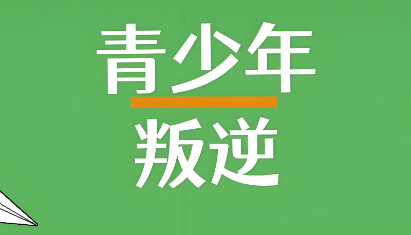 素质教育 素质教育