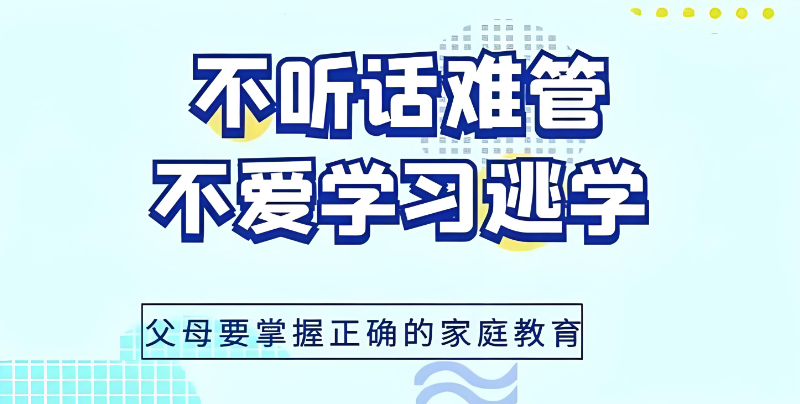 素质教育