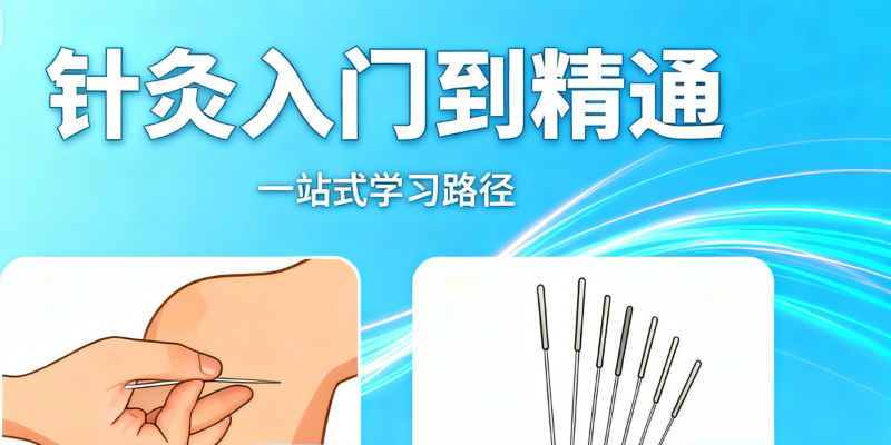 针灸培训